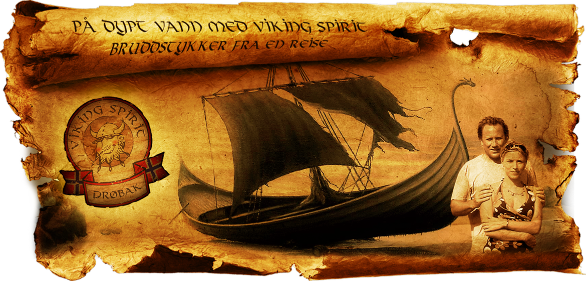 Viking Spirit